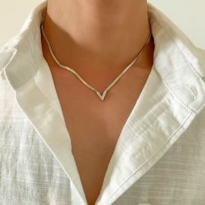 Vintage Simple Flat Snake Clavicle Chain Necklace for Male Creative V Shape Pendant Choker Jewelry Accessories Steampunk Men New