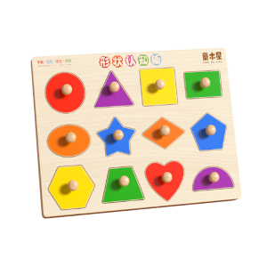 TONGMUXING | Cognitive Geometric Shapes Educational Puzzle Blocks