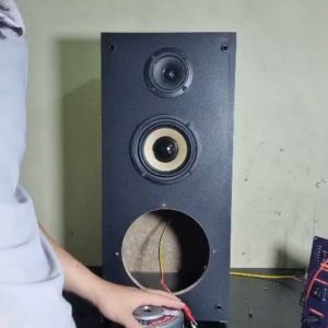 Củ loa bass 20 cực đẹp của BM Paudio từ 126 coil 38 gân mút chất âm cực ấm