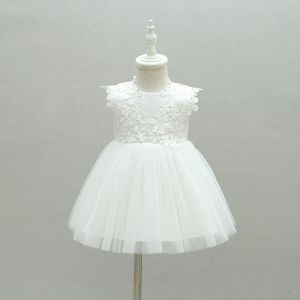 Newborn Girls Summer Baby Girl Dress Party and Wedding Christmas Baptism 1st Christening Birthday Frocks Lace Gown