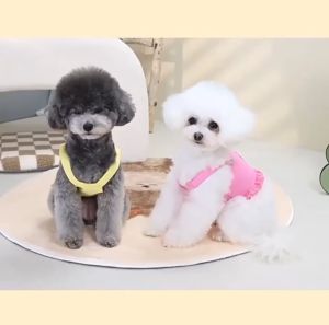 Pet Harness Leash 3 Pcs Set Summer Candy Fashion Pet Clothes Set Skirt Hat For Cats & Dogs