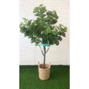 Pohon Artificial Tanaman Hias Daun Mangkokan X4 T140 Semilatex Cover Eceng Gondok Handle Dekorasi Rumah