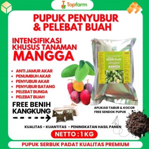 Pupuk Khusus Buah Mangga / Pupuk Pohon Mangga Cepat Berubah / Pupuk Kalsium Pohon Mangga / Pupuk Dolomit Untuk Pohon Mangga