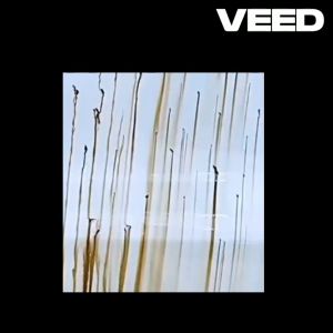 ยางมะตอย หลอก - Pitch น้ำยาล้างยางมะตอย คราบสกปรก ทำความสะอาด สีรถยนต์ คราบแมลง ยางไม้ ยางเหนียว มูลนก