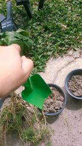 Green Metal Gardening Tools: Versatile Solutions for All Seasons