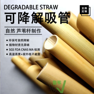 หลอดยิงไม้ไผ่ย่อยสลายได้ หลอดชานมหนา เป็นมิตรกับสิ่งแวดล้อม ไม่ใช้แล้วทิ้ง บรรจุแยกชิ้น