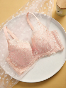 LOVE ESTEEM | Lace Thin Summer Bra Memory Wire Gather Support