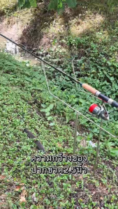 ที่วางคันเบ็ดสปิ๋ว1ชุดมี2ชิ้น ราคาชุดละ