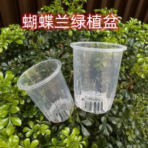 Breathable Hollow out See through Root-Controlling Orchid Pots Thickened Plastic Hot Planting Alocasia Wedding Candle Philodendron Special Qingshan Flower Pot