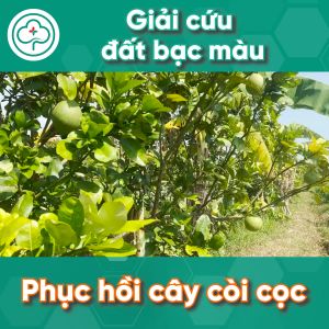Chế Phẩm Xử Lý Đất Nhiễm Mặn BS20 Sali 500ml - Cải Tạo Đất Giúp Ra Rễ Xanh Lá - Bác Sĩ Cây Xanh