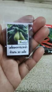 30 เมล็ด มะละกอแขกดำ เมล็ดมะละกอแขกดำ มะละกอ เมล็ดมะละกอ