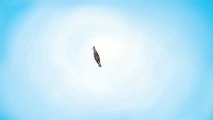 นิทานพื้นบ้านภาคกลาง (comic)