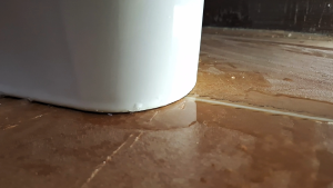 Suretite Silicone Clear Multipurpose Sealant 280mL - Durable Adhesive