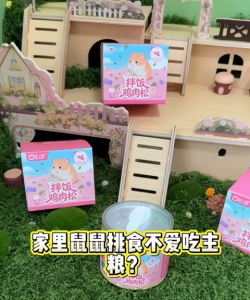 Hamster Chicken Floss snack 40g