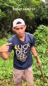 Cangkul Gulma Bahan Gergaji Selendang Asli L30CM