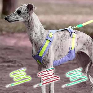 Hamshmoc dây dắt thú cưng nhiều Tay cầm mềm Grip khóa an toàn bền nylon sử dụng thường nhật