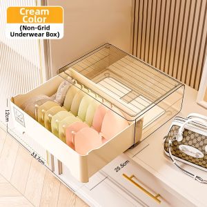 Underwear Storage Organizer Drawer Type
