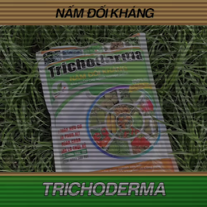 Nấm ủ Trichoderma dạng bào tử chịu nhiệt cao cấp. Túi 1kg