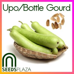 SeedsPLAZA™ - Upo (5 Seeds) for Planting Vegetable Plants + Instructions for Bottle Gourd F1 Plant Seed