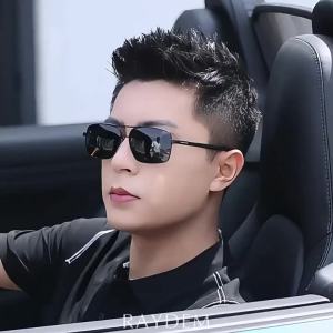 Raydem | Mens Polarized Photochromic UV Protection Driving Sunglasses
