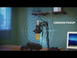 BM800 High-Quality Karaoke Audio Interface with V8/V8S Sound Card Dynamic Microphone and Sound Effects for Live Streaming