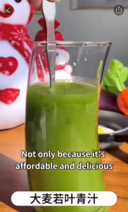 Barley Grass Juice Powder 100% Organic (33 servings) Certified PURE - Herbal Nation Barley Serbuk Jus Rumput Barli 100% Organik (33 hidangan) Diperakui TULEN - Barli Herba Negara 大麦草汁粉100%有机（33份）认证纯-草本国家大麦