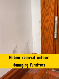 Mold Remover Spray 500ML Semburan Anti Kulat Anti Mold Spray Wall Mold Cleaner Kill Black Mold Fast Stain & Mildew Remover No damage to the wall