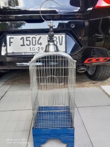 kandang  kotakcolibri/pleci ..tebok plt kaleng bisa d lipat uk 20x20x40