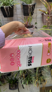 Facial Tissue Montiss 1000gr 2 ply jumbo Tisu 1000 Sheet Murah