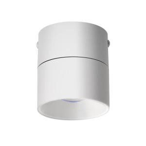 OUYIRUI | Adjustable Angle Wash Wall Spotlight for Home Living Room Hallway Picture Lighting