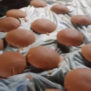 Gula Merah Kelapa Asli Nira Murni 1 kg 500gram Gula Merah Jawa Batok Super Kebumen Murah (No Aren)
