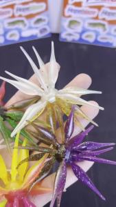Mồi Câu Mềm Đa Xúc Tu Hopeblaze School-of-Fish Sea Urchin Bộ Dụng Cụ Câu Cá Mú Cá Chó Cá Săn Mồi Câu Cá Biển Trên Thuyền.