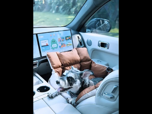 Pet Car Seat Bed Waterproof Oxford Fabric Anti-Scratch Pet Travel Bag Portable Travel Carrier