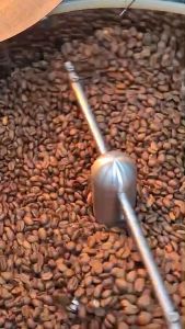 เมล็ดกาแฟ (HOUSE BLEND SET) Dawn Blend Dusk Blend Midnight Blend (200g)