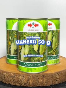 Benih Mentimun Vanesa 50 gram Cap Panah Merah: Panduan Lengkap