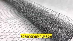 ตาข่ายลวดหกเหลี่ยมชูบพีวีซี 1/2" 3/4" 3/8" นิ้ว สูง 90 ซม. X ยาว 30 เมตร ลวดตะแกรงกรง ตะข่ายกันนก ลวดกันหนู งู ลวดกรงนกอเนก ประสงค์