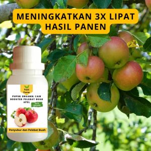 Pupuk Apel Cepat Berbuah / Pupuk Pelebat Buah Apel / Pupuk Booster Apel Cair