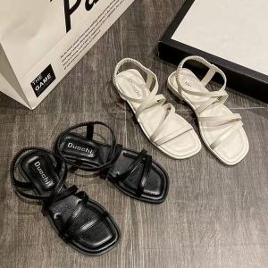 Selamat Datang di Murah Meriah Importir