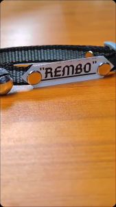 Kalung Kucing Custom Nama Murah Motif Garis Besar Gesper Kucing Berkualitas Lonceng 14mm Bulat