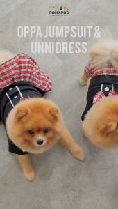 POMAPOO - Baju Kucing dan Baju Anjing Oppa Jumpsuit dan Unnie Dress
