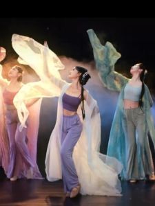 Classical Dance Clothes Womens Elegant Overshirt Body Charm Gauze Clothes Pants Exercise Clothing Han and Tang Chinese Style Half Pot Yarn Performance Costume