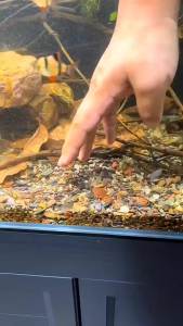 Aquarium Siphon Vacuum Cleaner Fish Tank Water Changer Manual Water Changer Semi-Automatic Aquarium Pump Cleaner