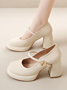 Elegant Mary Jane High Heels Chunky Heel Womens Fashionable Slip-On round Toe PU Leather Rubber Outsole Solid Color Shoes