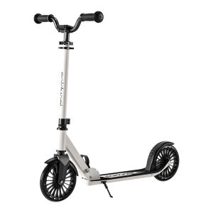 maiduomi | Anti-fall Folding Two-wheel Scooter
