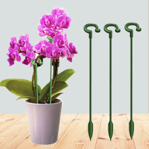 10 PCS Single Stem Plant Support Stakes Bonsai Support Stand Plants Stem Climbing Fixed Supporter for Phalaenopsis Orchid Flower Roses Amaryllis