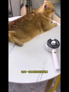 Pet hair brush cat comb dog cat special comb cleaning massage anti floating hair magic tool one button spray