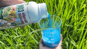 N03 CỨNG CÂY NGẮN LÓNG - NDT - CHỐNG ĐỖ NGÃ RA RỄ KHÔNG NGHẸN ĐÒNG- 500ML