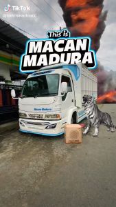 Cover Roda Truk SR Pariwisata Ring 16 Warna-Warni