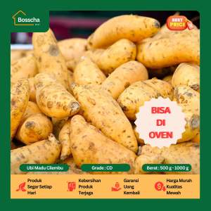 Ubi Madu Cilembu Mini ( Spek Kukus ) - Ubi Cilembu Asli Berkualitas 1 Kg