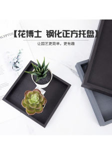 Four-sided Flower Doctor: A Comprehensive Guide to Square Flower Pot Trays